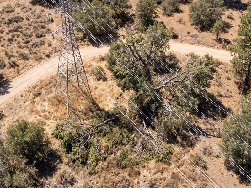 Aerial view of a transmission tower and power lines crossing a dry wooded area